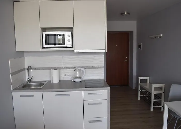 Cosy Seaside Apartment Palanga